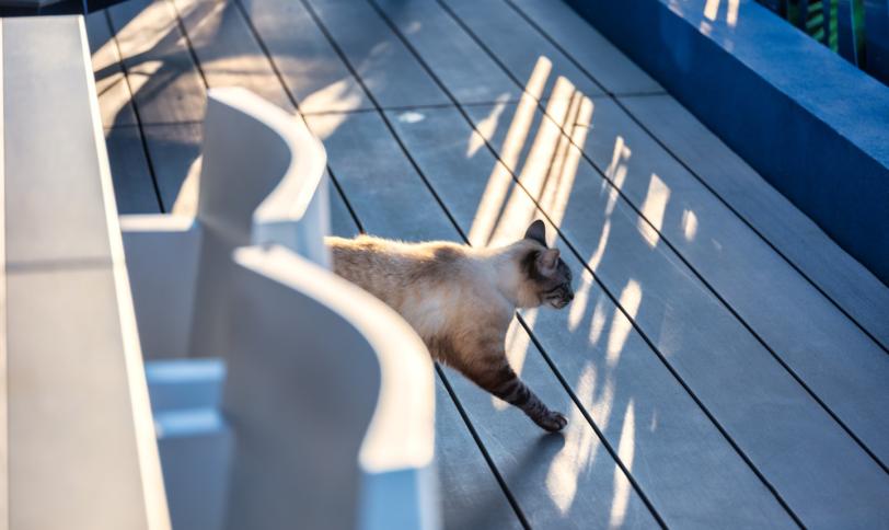 Gris anthracite lisse