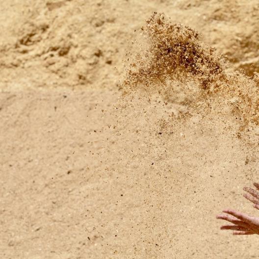 Farine de bois issue de scieries pour fabrication de lames de terrasse composite Silvadec